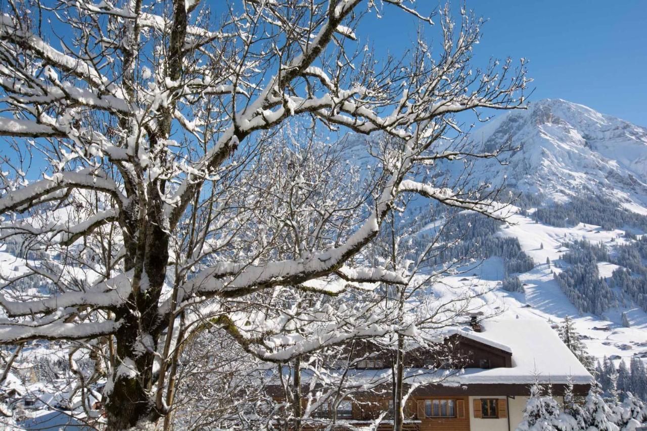 Ferienwohnung Senggi Adelboden Ngoại thất bức ảnh